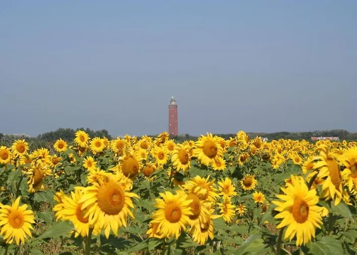 Huijsmansverhuur Type C Comfort Prinsenhof 51 *